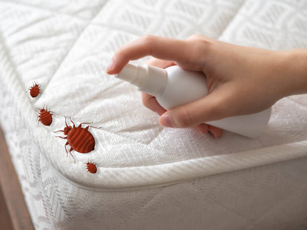 Best Emergency Pest Control  in Northport, AL