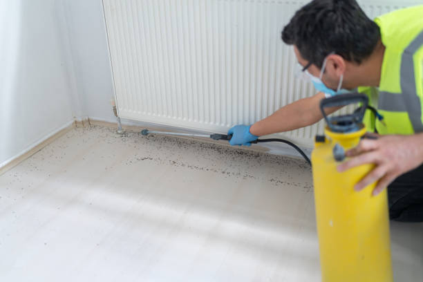Best Local Pest Control Services  in Northport, AL